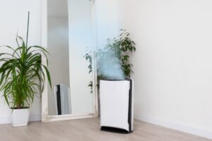 dehumidifier